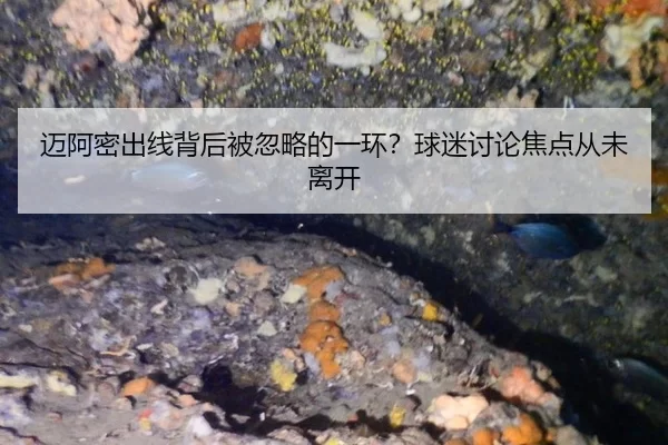 mai-a-mi-chu-xian-bei-hou-bei-hu-lve-de-yi-huan-qiu-mi-tao-lun-jiao-dian-cong-wei-li-kai-2-922.jpg